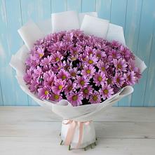 Букет сиреневая охапка в Алексеевке Самарской области Букет цветов из:  Хризантемы в Алексеевке Самарской области