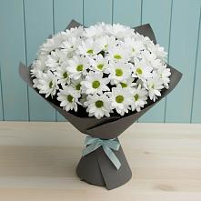 Букет белые хризантемы в Алексеевке Самарской области Букет цветов из:  Хризантемы в Алексеевке Самарской области